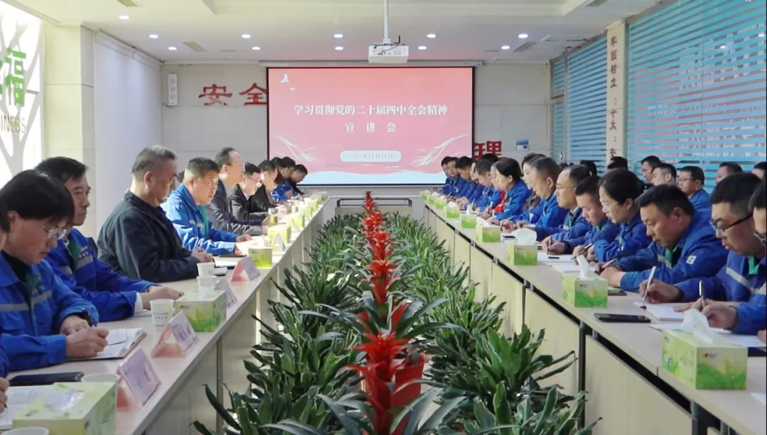 1764567735168856.jpg 1764567735168856.jpg